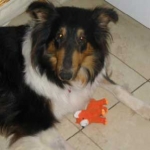 Skye
