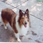 Daisy