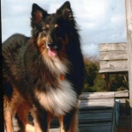 Tess