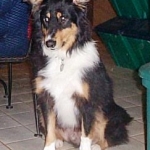 Ben