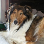 Chance AKA Bumper        