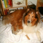 Dillon