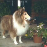 Fannie