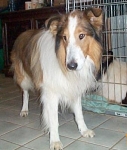 Jake