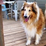 Marley
