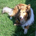 Max