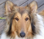 Rusty