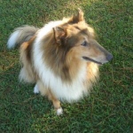 Taffy